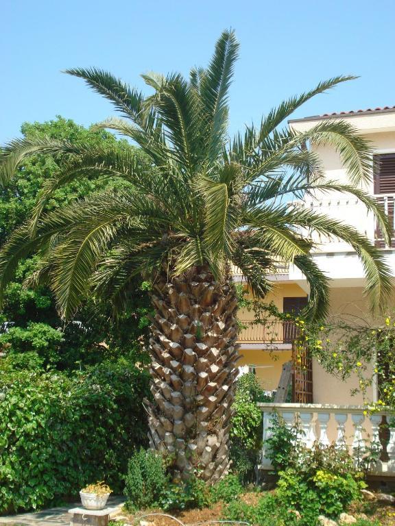 Apartments Labor Vodice Habitación foto